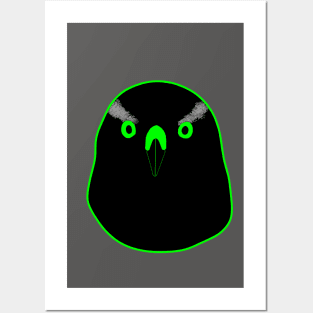 Black Goshawk with green eyes Posters and Art